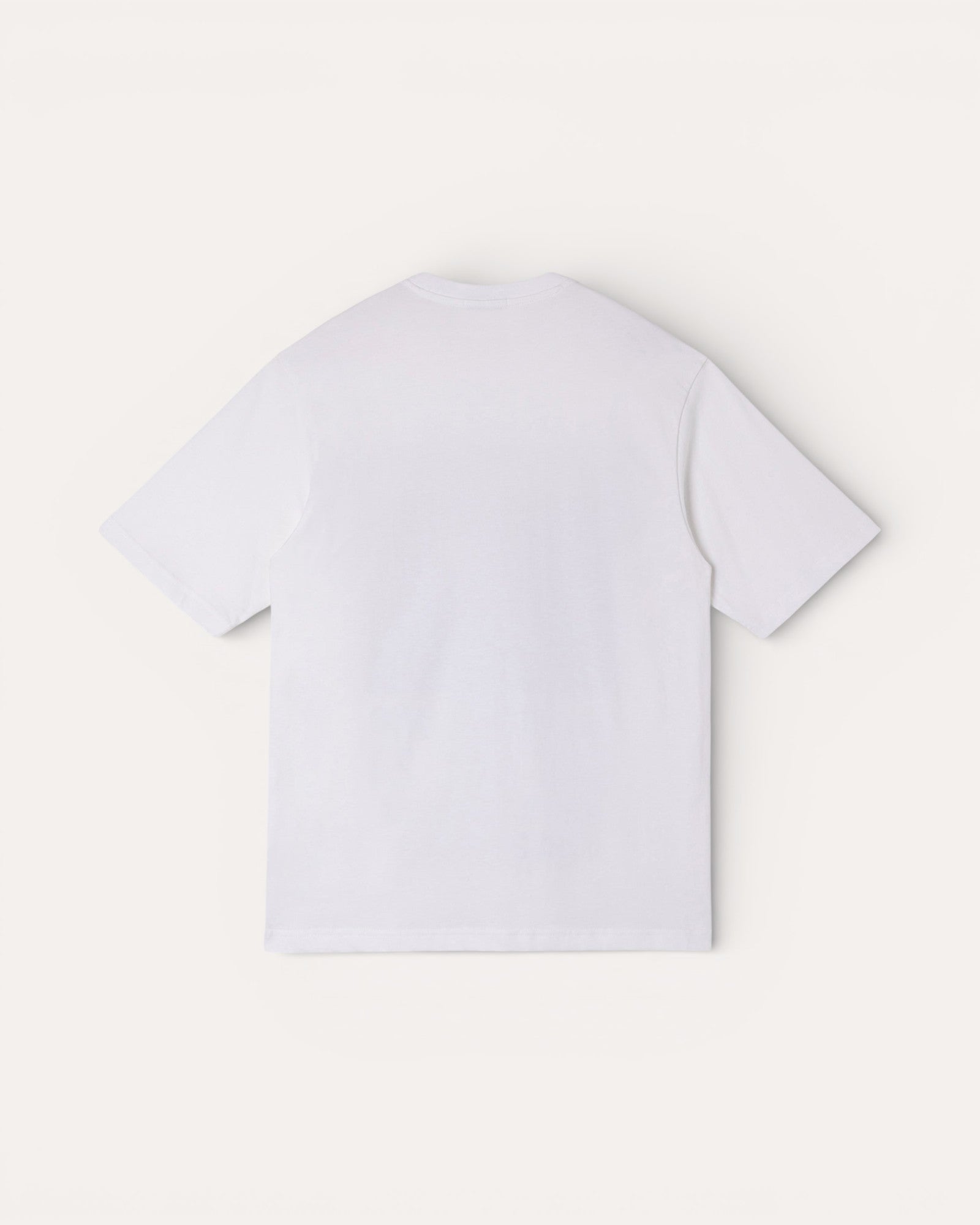 T-shirt Stan Ray Solstice
